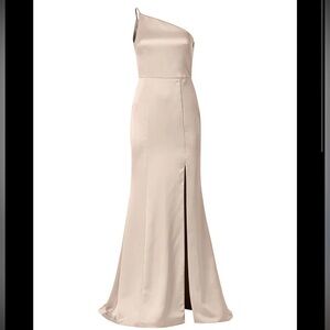 Amsale Kaia Dress in Champagne